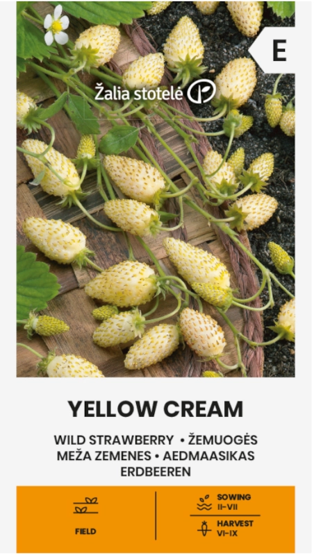 Poziomka Yellow Cream odmiana bardzo plenna o żółtych owocach nasiona 0,1g Žalia stotelė sklep rajogrodnika